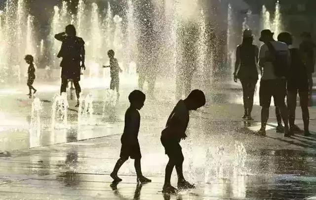 人类面临的生态困境包括哪,生态农业的可能性以及前景