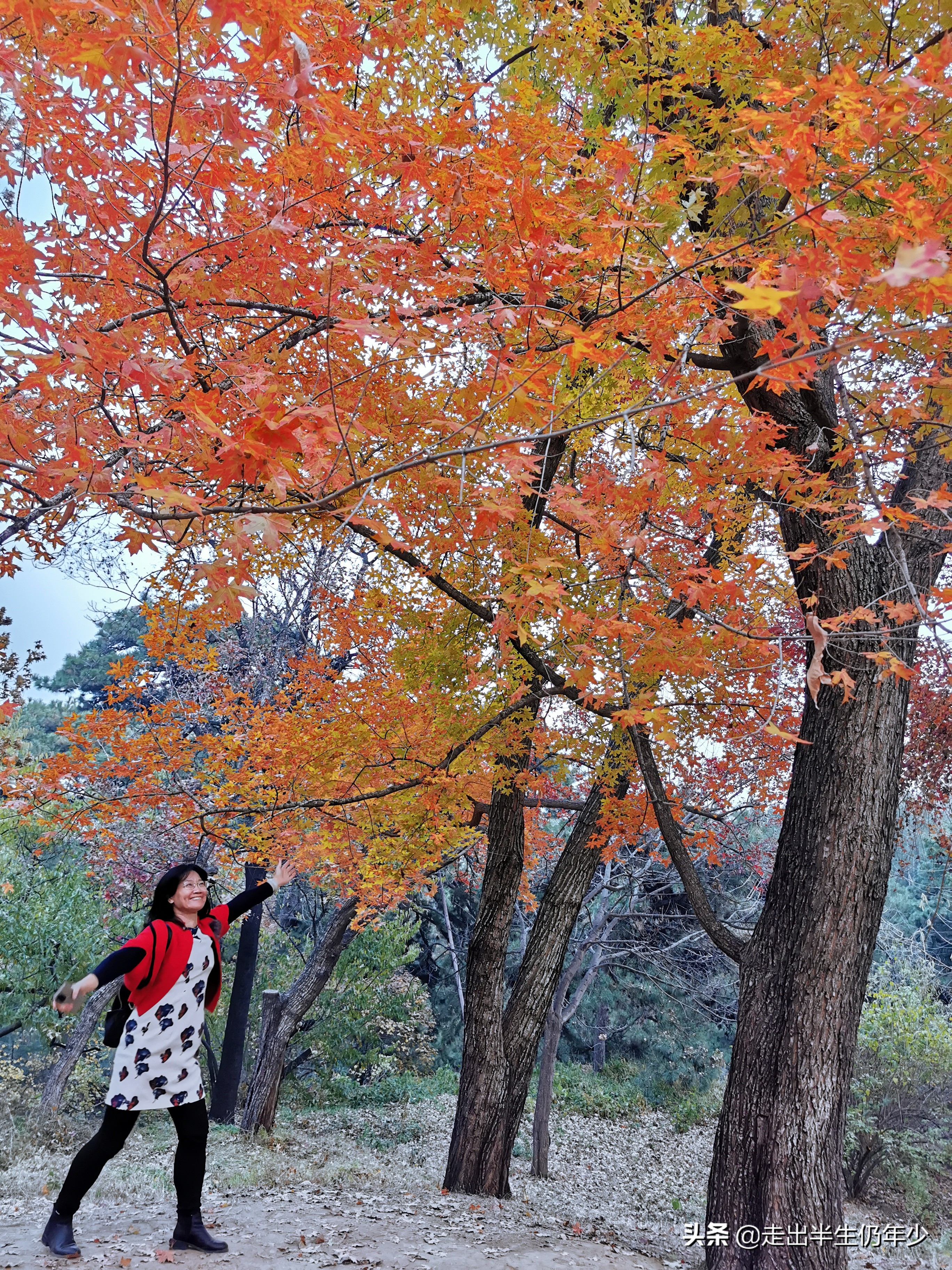 寻找记忆十年前的北京,北京深度游十五日自由行攻略