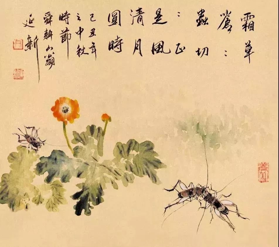 齐白石水墨小品欣赏,齐白石虫草长卷