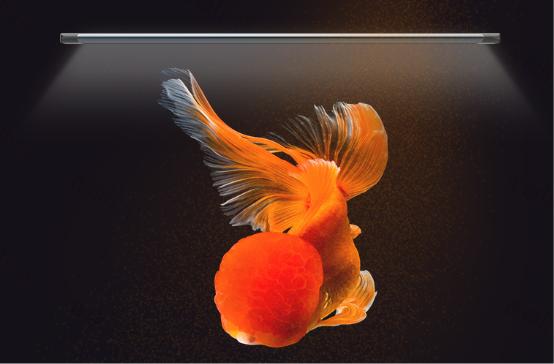 吉印金鱼爆藻灯跟原生灯区别,吉印金鱼爆藻