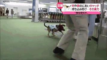 出国旅游怎样避免被遣返,在国外被遣返的需要自费么