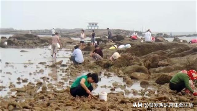 崂山海边渔家客栈,吴家台渔家客栈