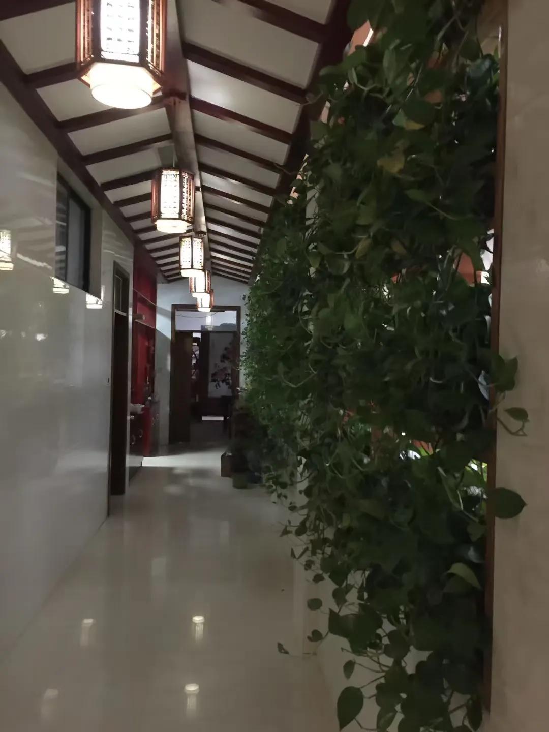 让孩子流连忘返的幼儿园,充满野趣的幼儿园