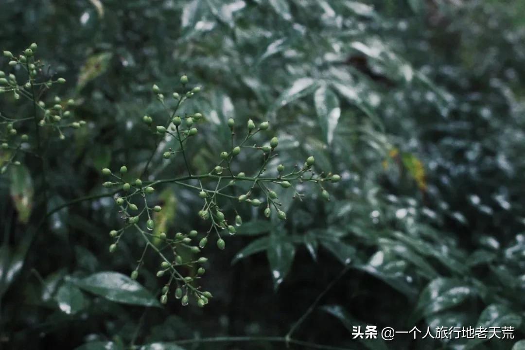 突然很想去看看,突然想去北京看看