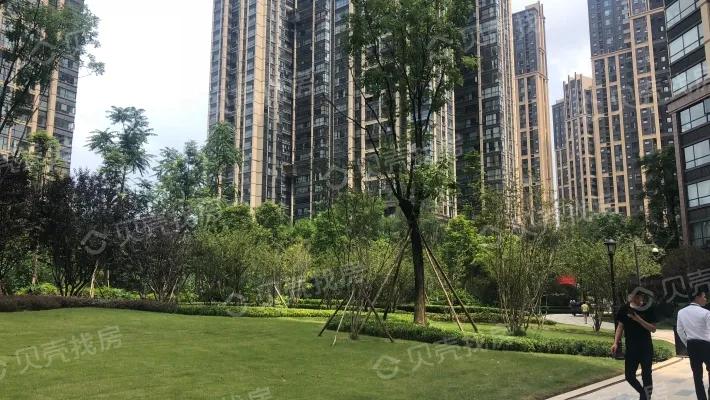 成都攀成钢大平层二手房,成都锦江区攀成钢270平豪宅