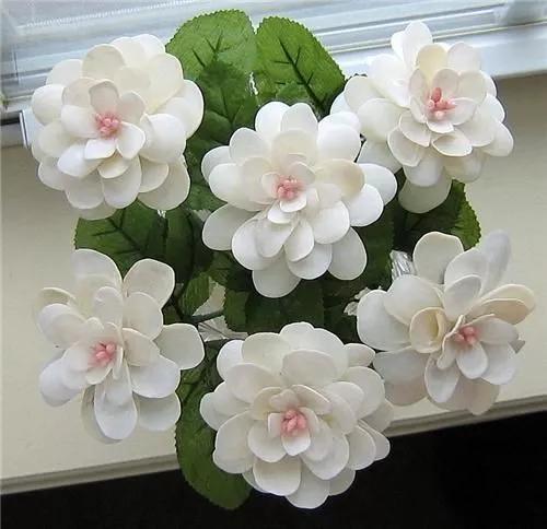 海边捡的贝壳可以做什么手工,贝壳创意手工种花