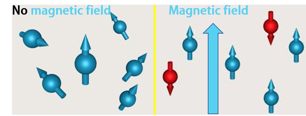 脑成像,脑成像技术是什么研究方法