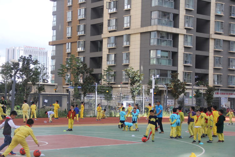 足球让人感动的体育精神,足球的体育精神