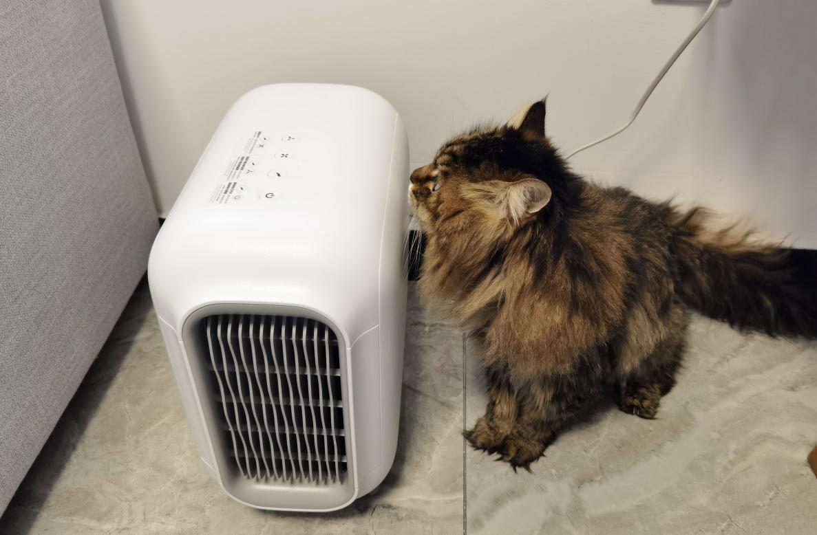 国外的空气净化器和国内的区别,空气净化器在国外销量