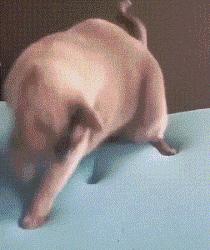 搞笑gif你们这些城里人太会玩了,搞笑gif逗比的世界你永远理解不了