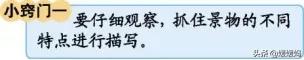 部编版语文四年级下册知识点归纳,四年级语文下册1-8单元知识点归纳