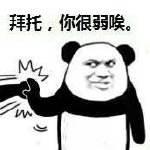 这几年有什么好看的综艺节目 (这才是国产综艺该有的样子)