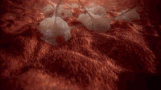 发烧咳嗽流鼻涕是肺炎支原体,发烧感冒咳嗽流鼻涕是甲流吗