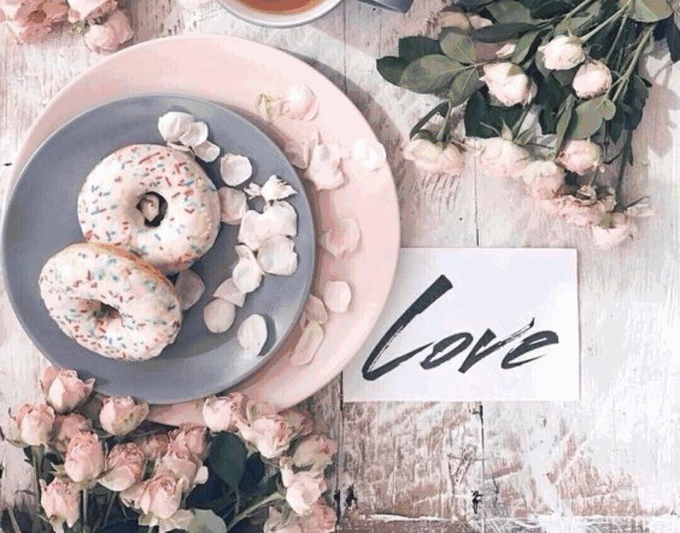 ins风装饰花,ins风装修搭配的绿植