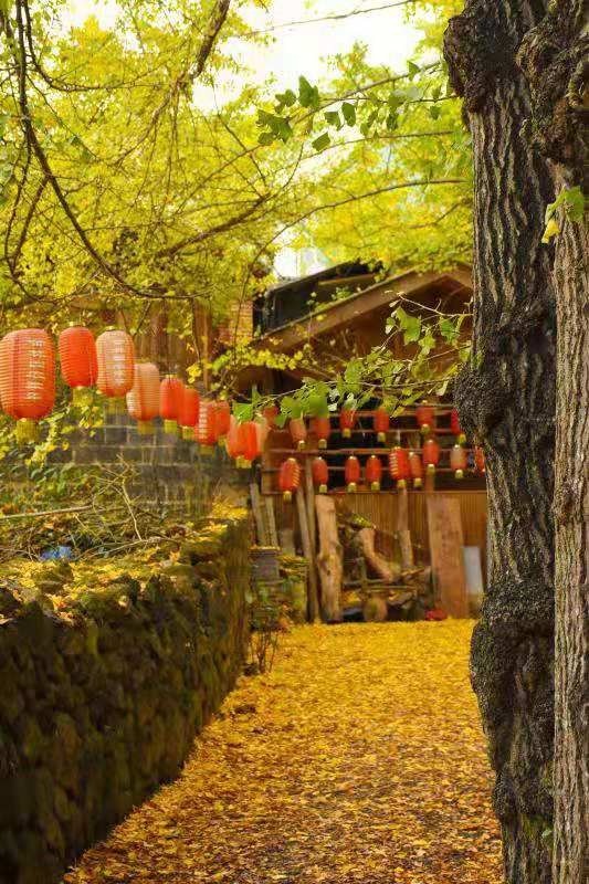 自驾玩转云南旅游攻略路线推荐,云南旅游全攻略5天自驾路线