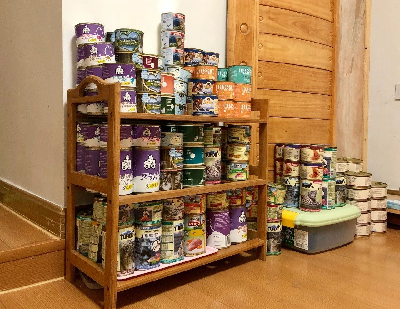 猫突然不吃食物怎么办,猫咪突然不吃猫粮豆瓣