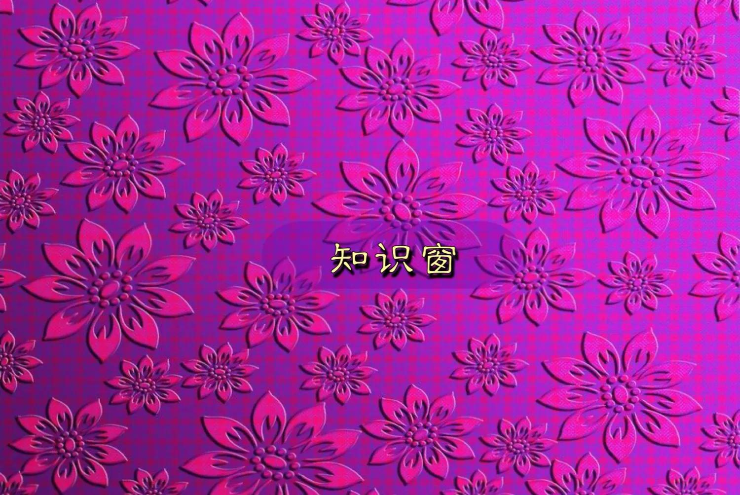 赵锁仙经典视频,赵锁仙144个中国文学典故