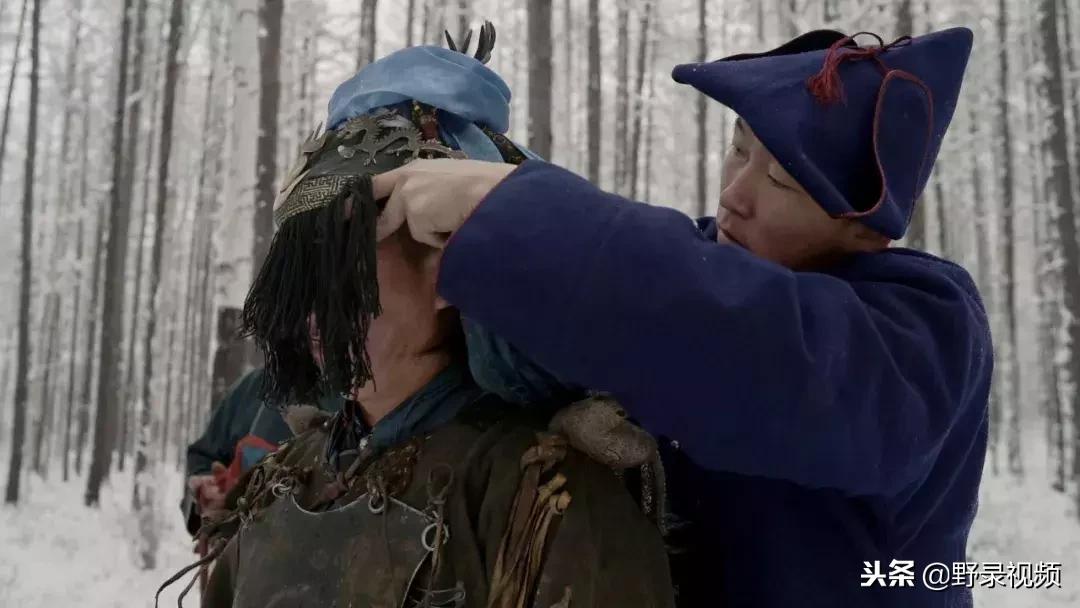 敖鲁古雅原始部落驯鹿喂草,敖鲁古雅驯鹿旅行