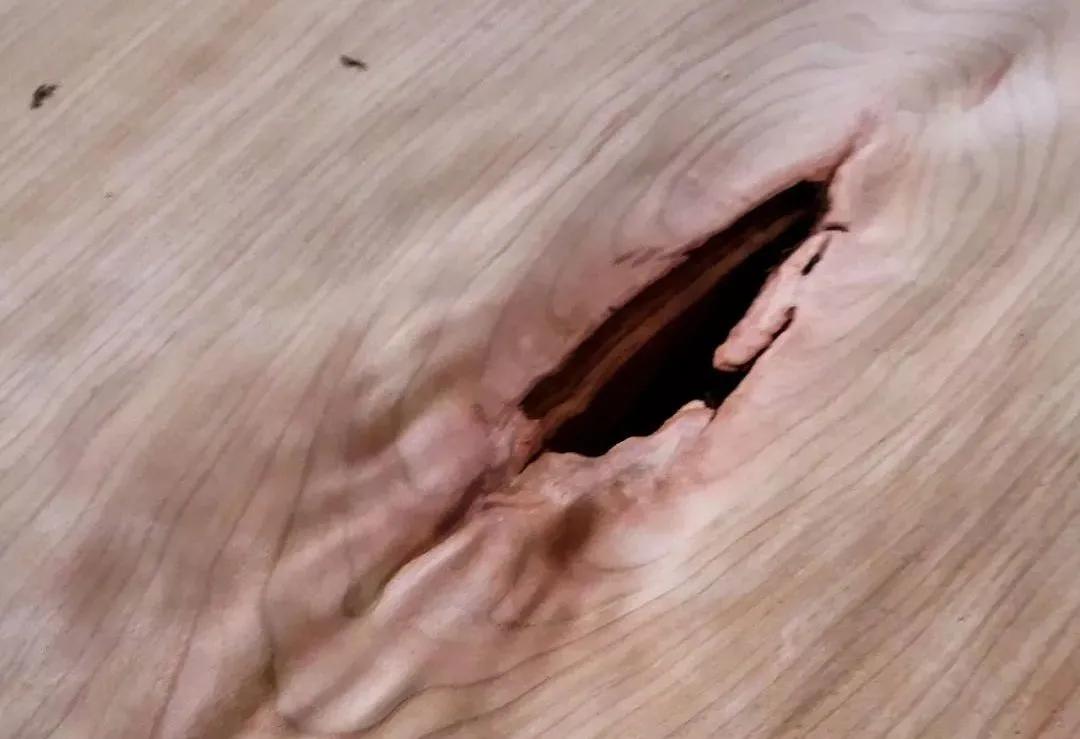 木皮染色材料视频,常见天然木皮