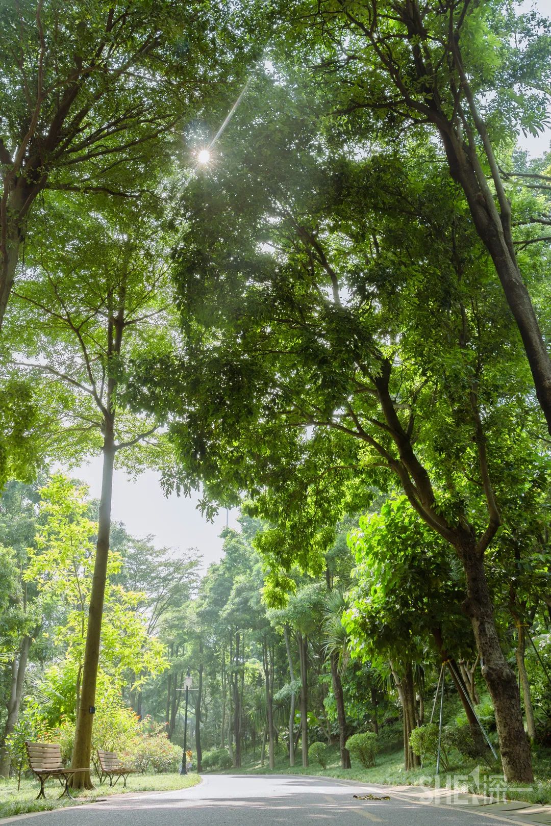 深圳商场爆满,深圳为什么商场那么多