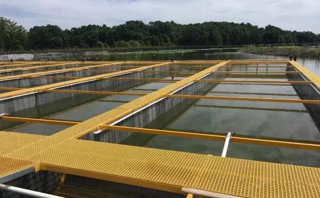 池塘内循环流水养鱼模式有何优势,低碳高效池塘循环流水养殖模式