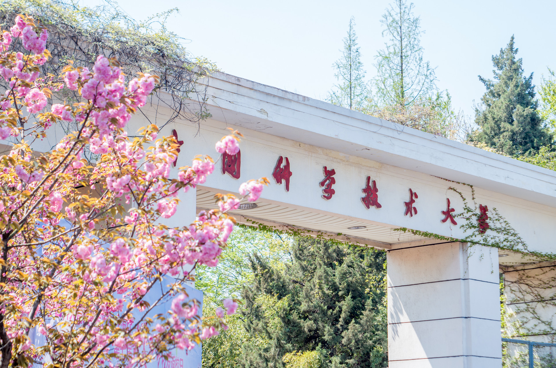 中科大华中科技大学谁强,华中科大安徽录取名次