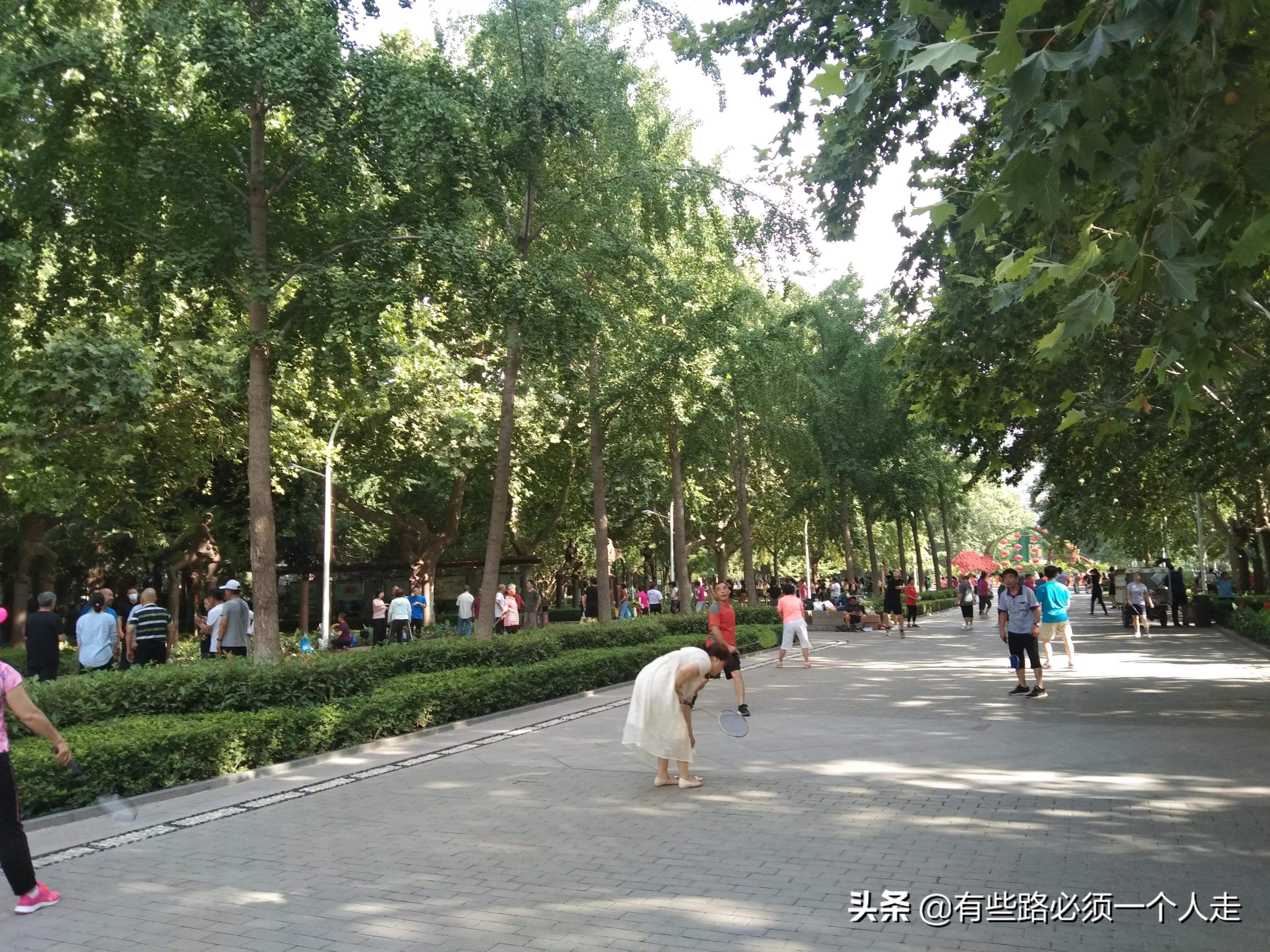 只希望用这样的方式，来调节自己紧绷的神经