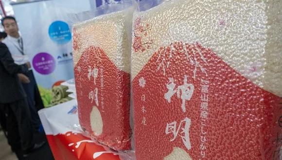 各国大米价格变化,全球大米价格飙升12年新高