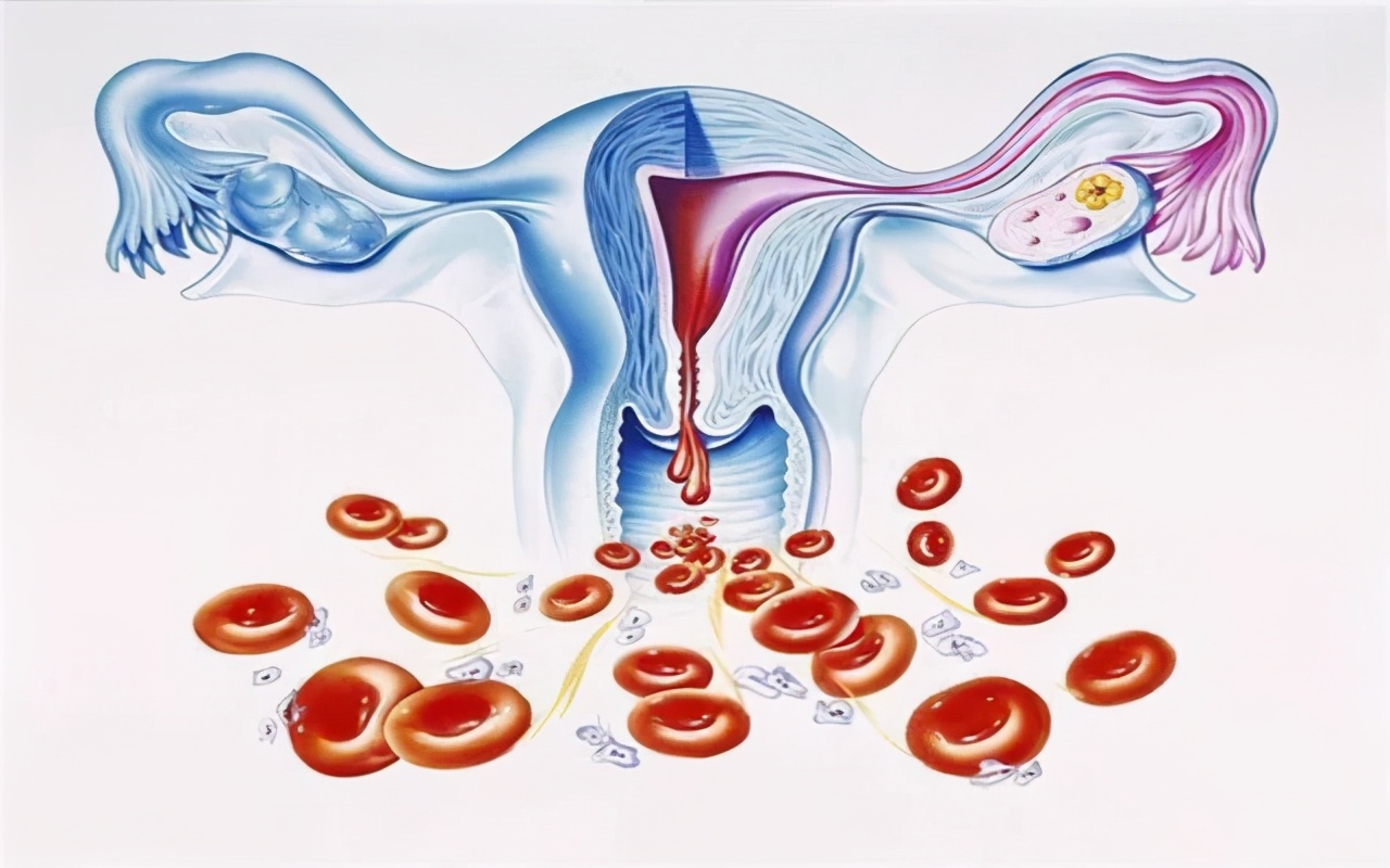 宝妈产后有哪些修复,宝妈大出血怎么护理