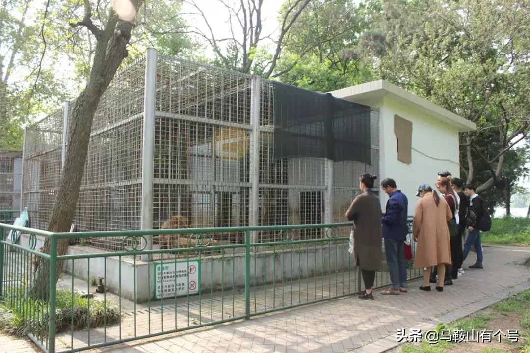 马鞍山特别大的动物园,马鞍山野生动物世界