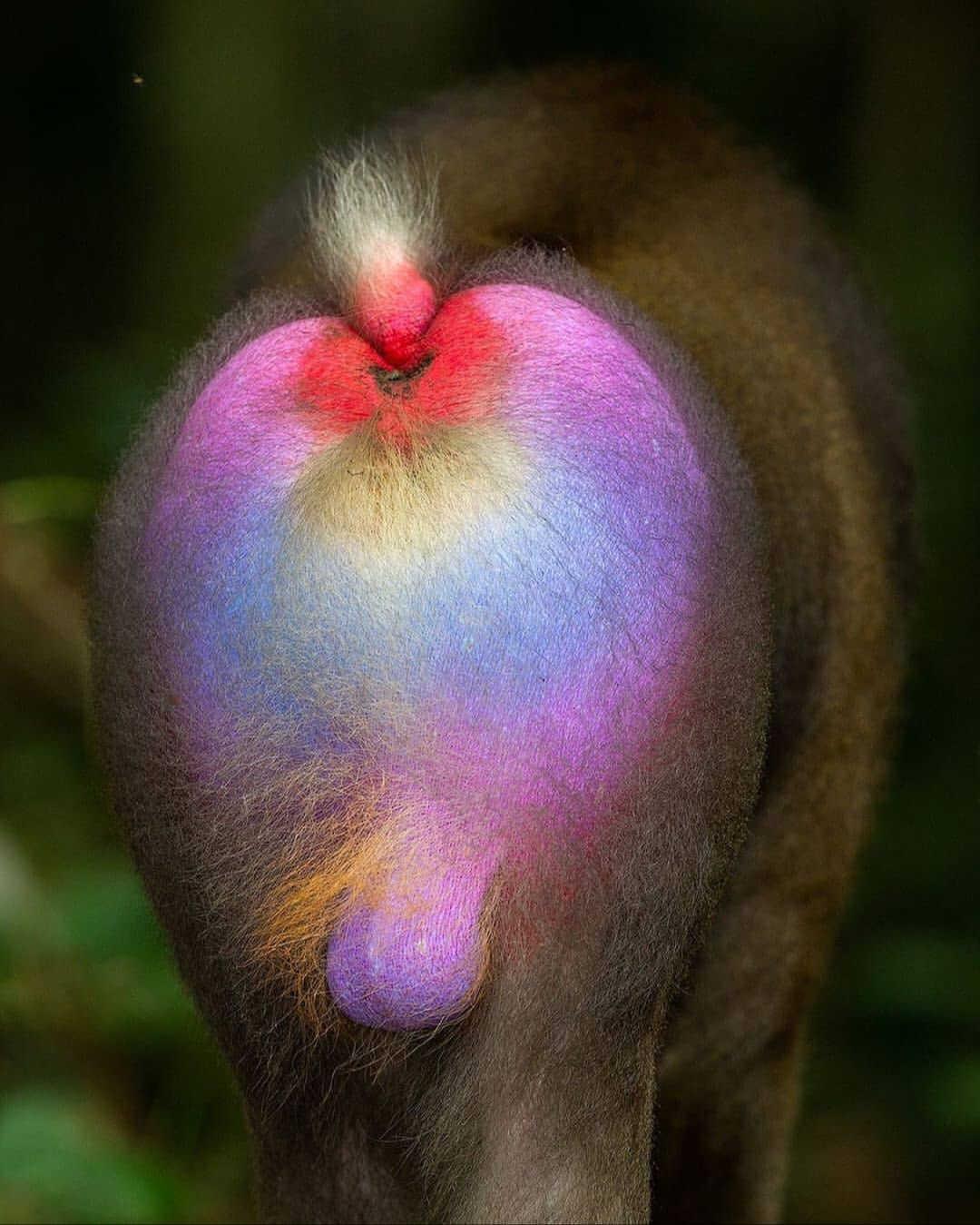 加拿大出现怪异的东西,加拿大无头怪