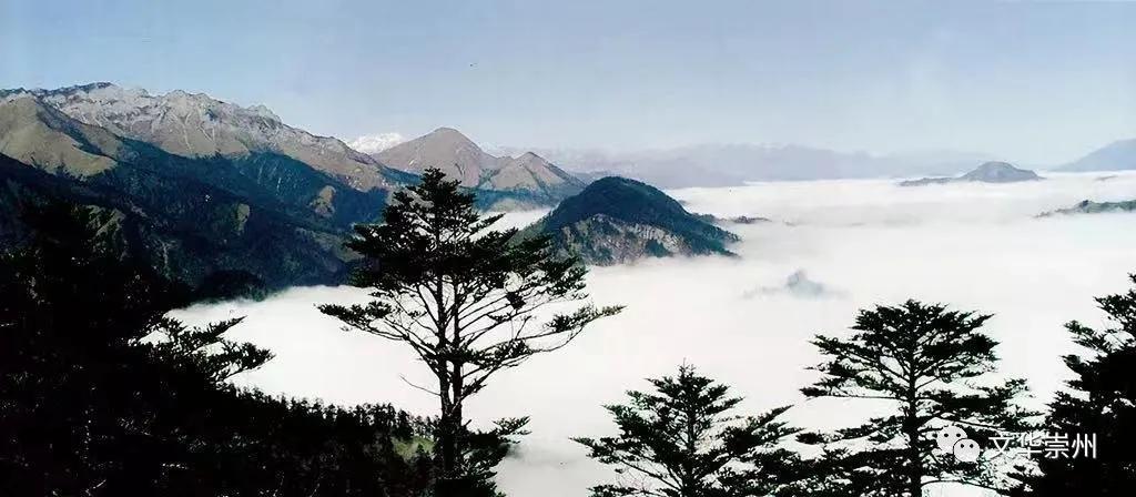 崇州罨画池公众号,崇州市罨画池绘画