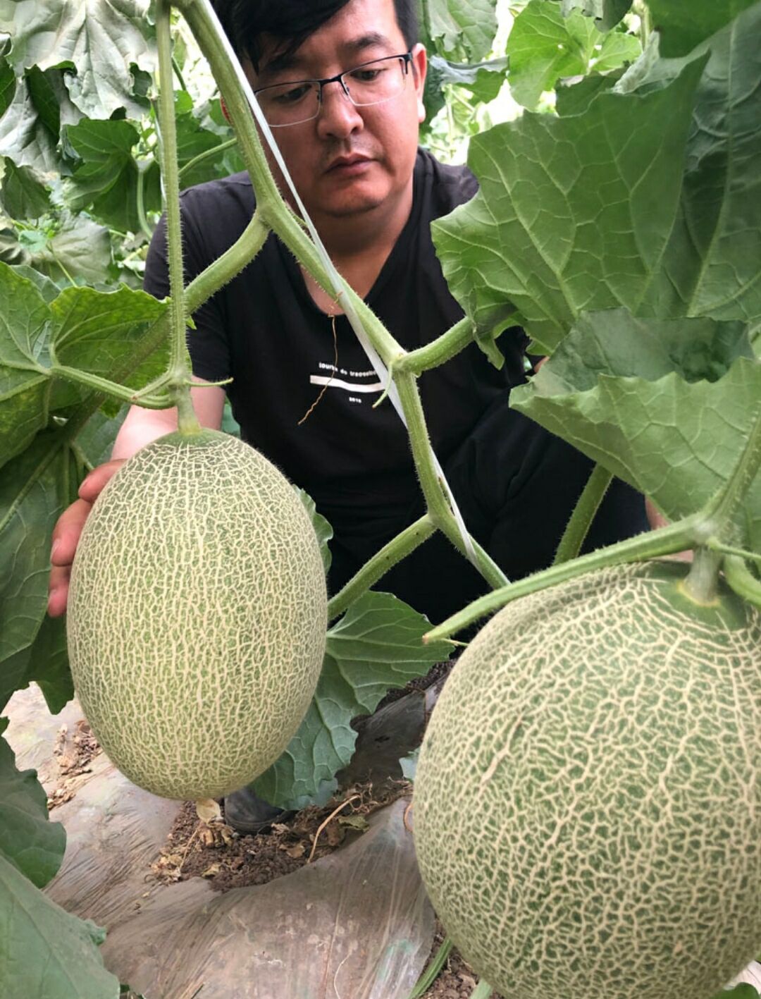 来新疆一定不要错过的所有景点,值得推荐的新疆葡萄干