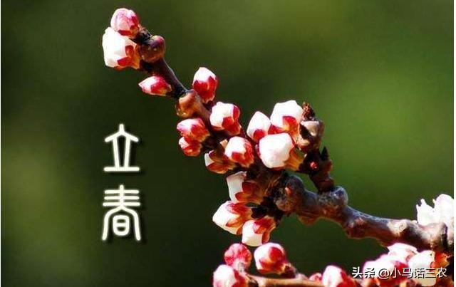 2019年属于双春年吗,2020双春年是哪几天