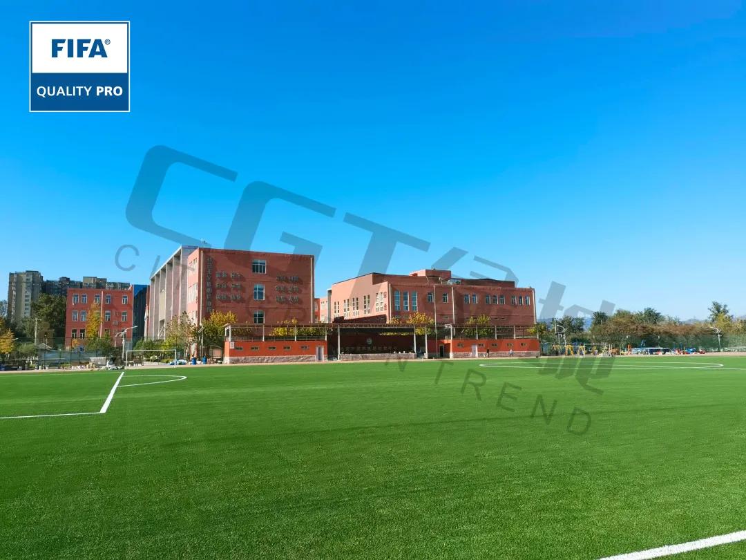 cgt缁垮煄鑻辫秴,cgt缁垮煄浣撹偛浜т笟闆嗗洟