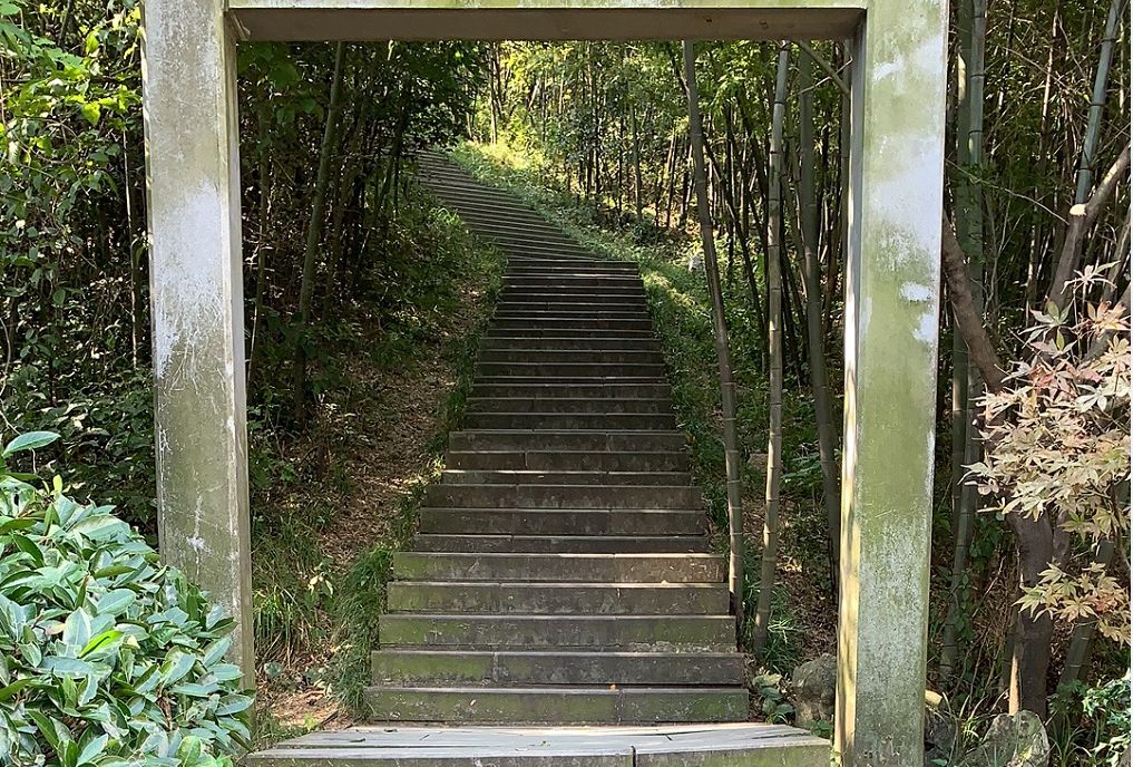 宜兴竹海玉女峰凌云阁,宜兴竹海登高望远视频