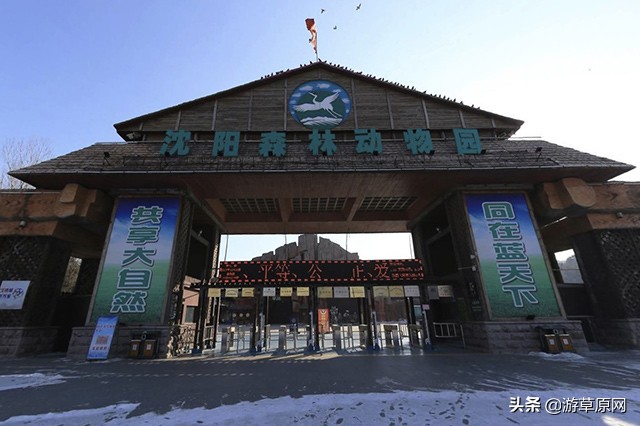 辽宁动物园野生动物,辽宁省动物园