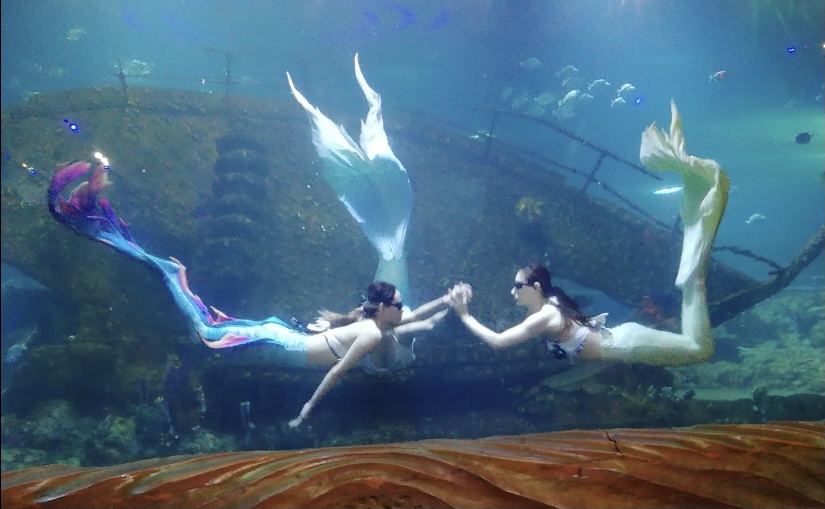 西安三大海洋馆哪个值得去,西安海洋馆哪个好一点