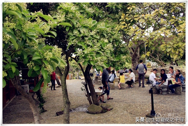 深圳市杨梅坑美人鱼拍摄基地,深圳大鹏杨梅坑美人鱼拍摄地点
