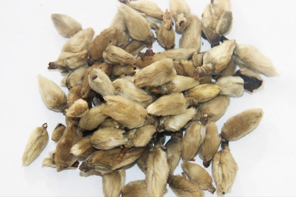 熬中药有先煎和后煎怎么熬,中药有先煎后下的怎么个煎法