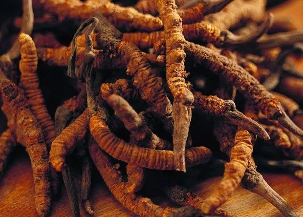 春季药材养护知多少？交易中心立体智能云仓为药材质量保驾护航