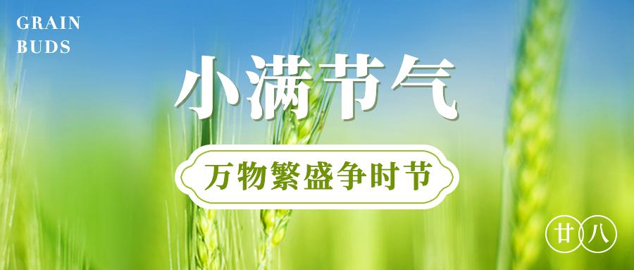 小满的英文句子,小满的句子简短英语