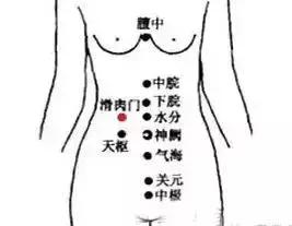 中老年穴位拍打养生操教学视频,十二经络二十八个穴位拍打操