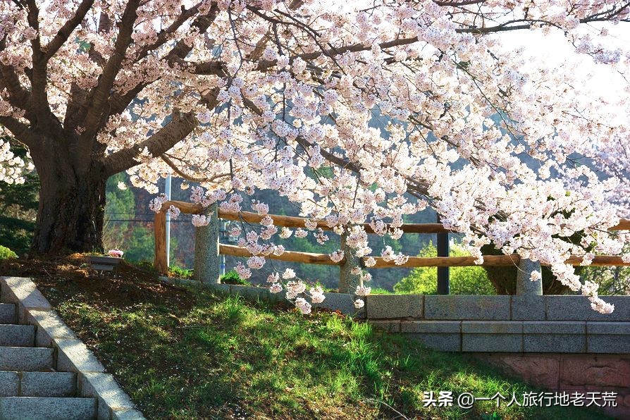 厦门海滨老城旅游,厦门最美海滨城