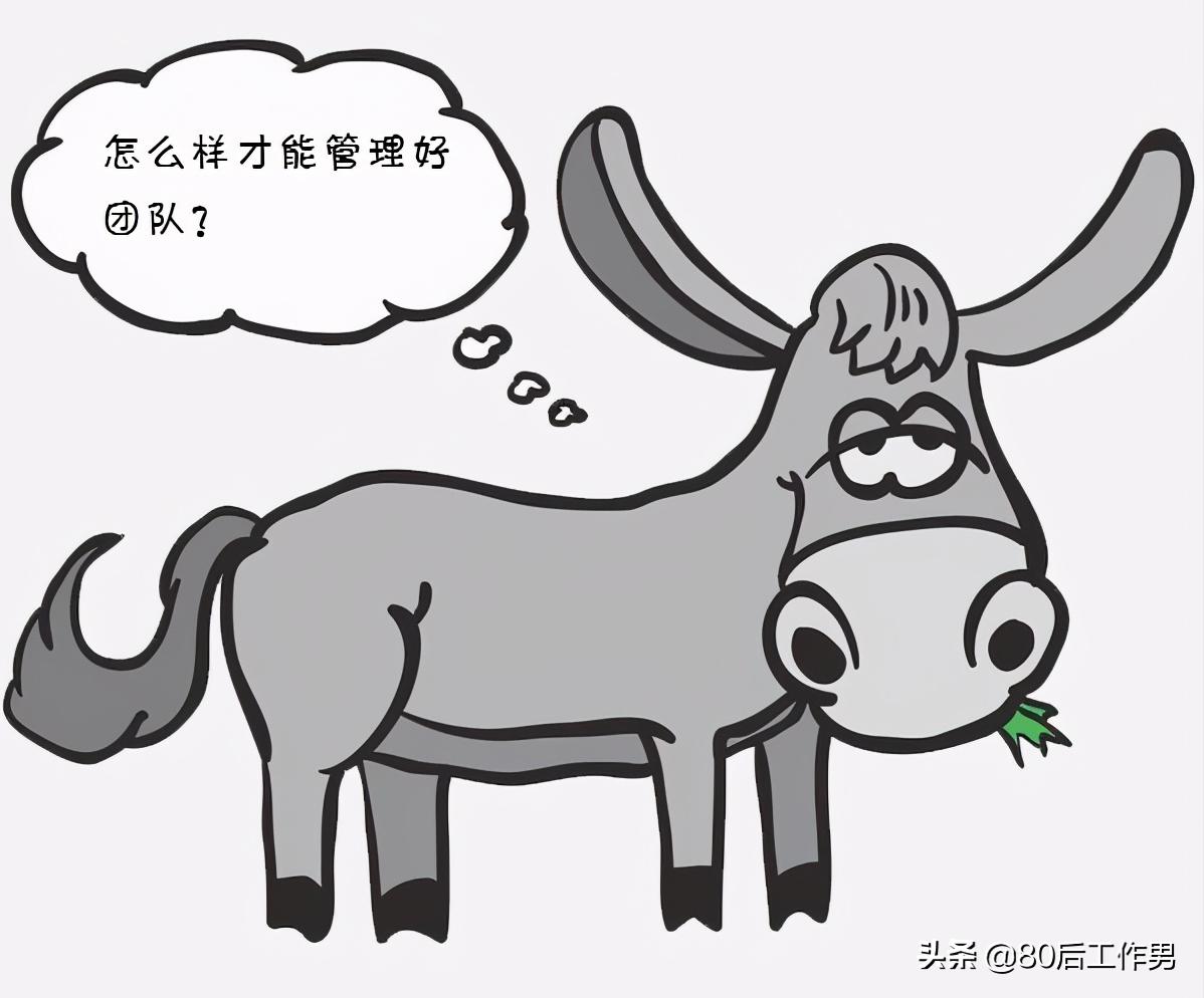 领导团队与管理团队,如何从管理团队走向支持团队