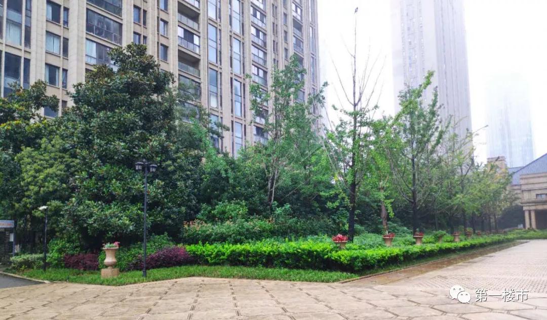 日照华润凯旋门二手房,太原华润凯旋门有卖二手房吗