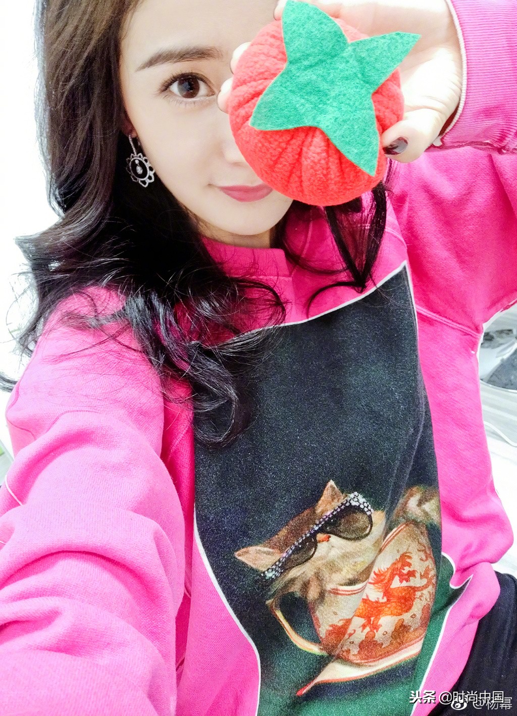 倪妮同款小猫咪,倪妮李宇春奇妙的动物