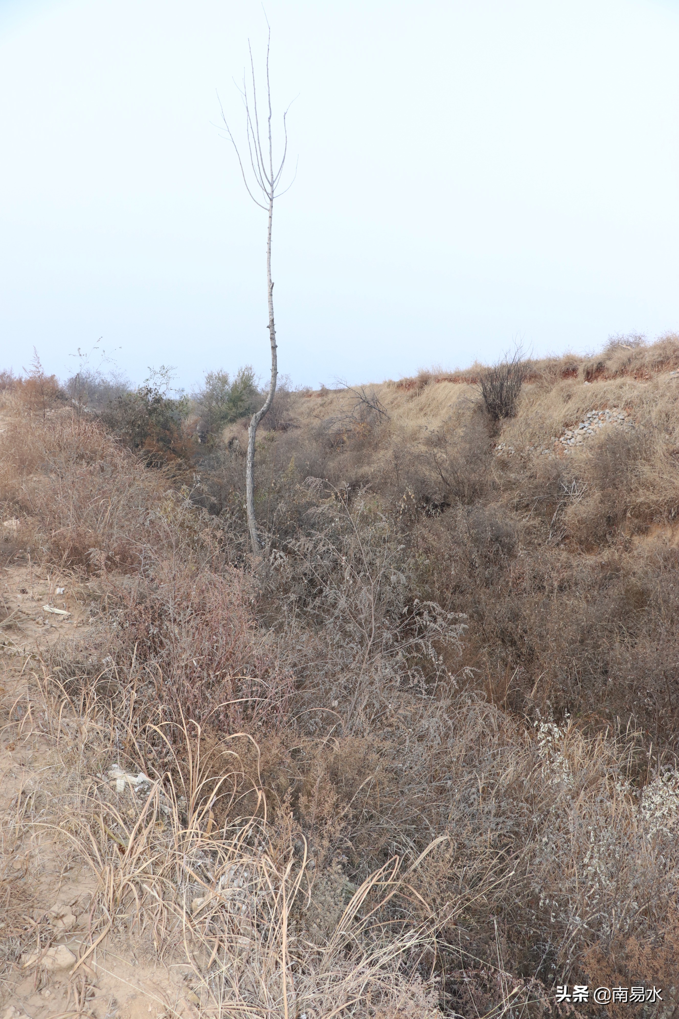 家乡风景带你一起感受自然的味道,令你难以忘怀的家乡的味道