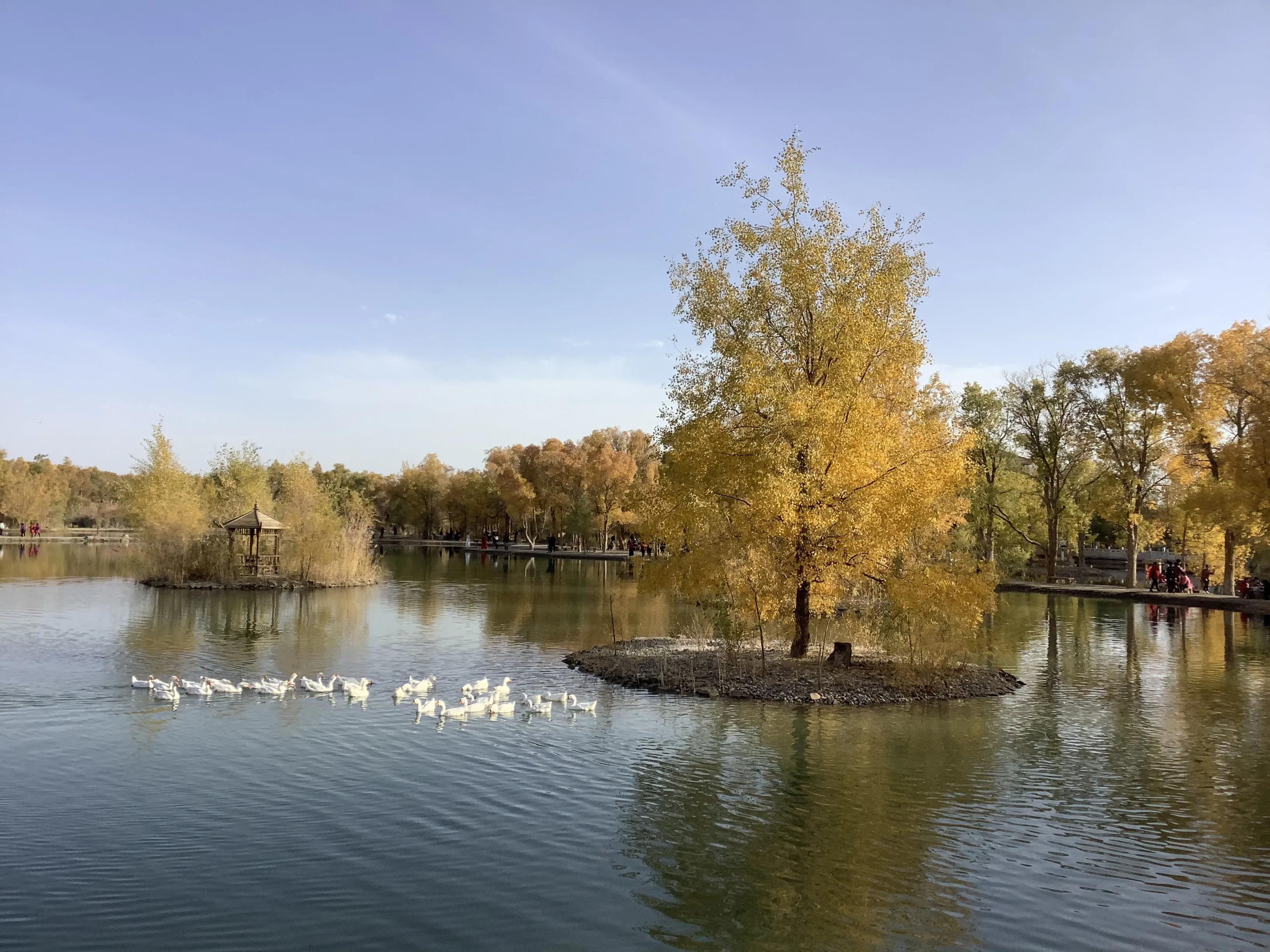 2021秋，噩梦大西北