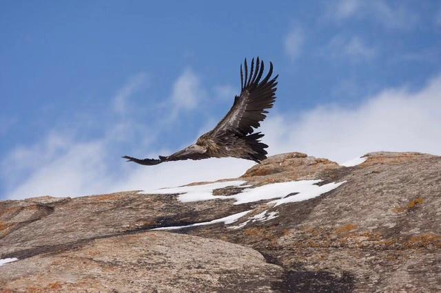 期货确定了方向怎么选品种,期货趋势交易如何选择入场点